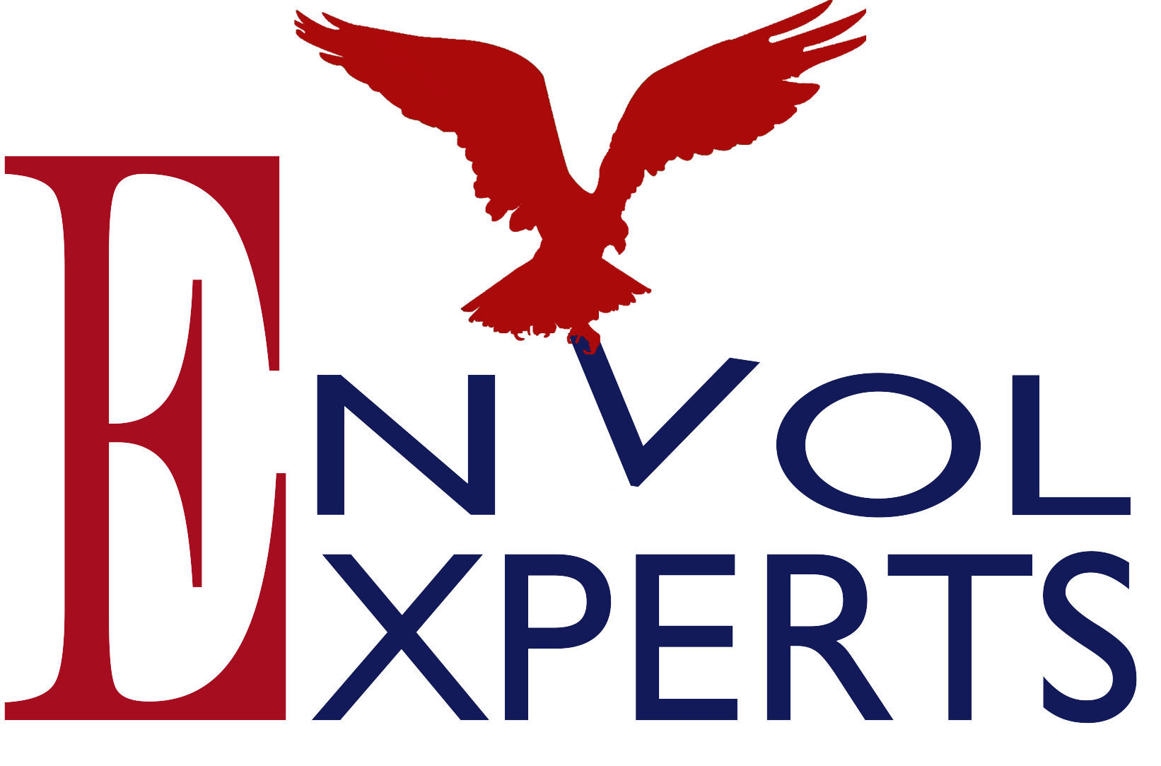 EnvolEXPERTS - DAF Externalisé